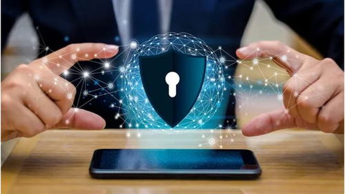 國內(nèi)外網(wǎng)絡(luò)安全發(fā)展動(dòng)態(tài)與信息安全軟件開發(fā)新趨勢