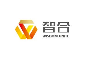 安徽智合商務咨詢 助力企業決策的商務信息咨詢服務