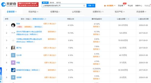 商務信息咨詢在現代企業發展中的關鍵作用
